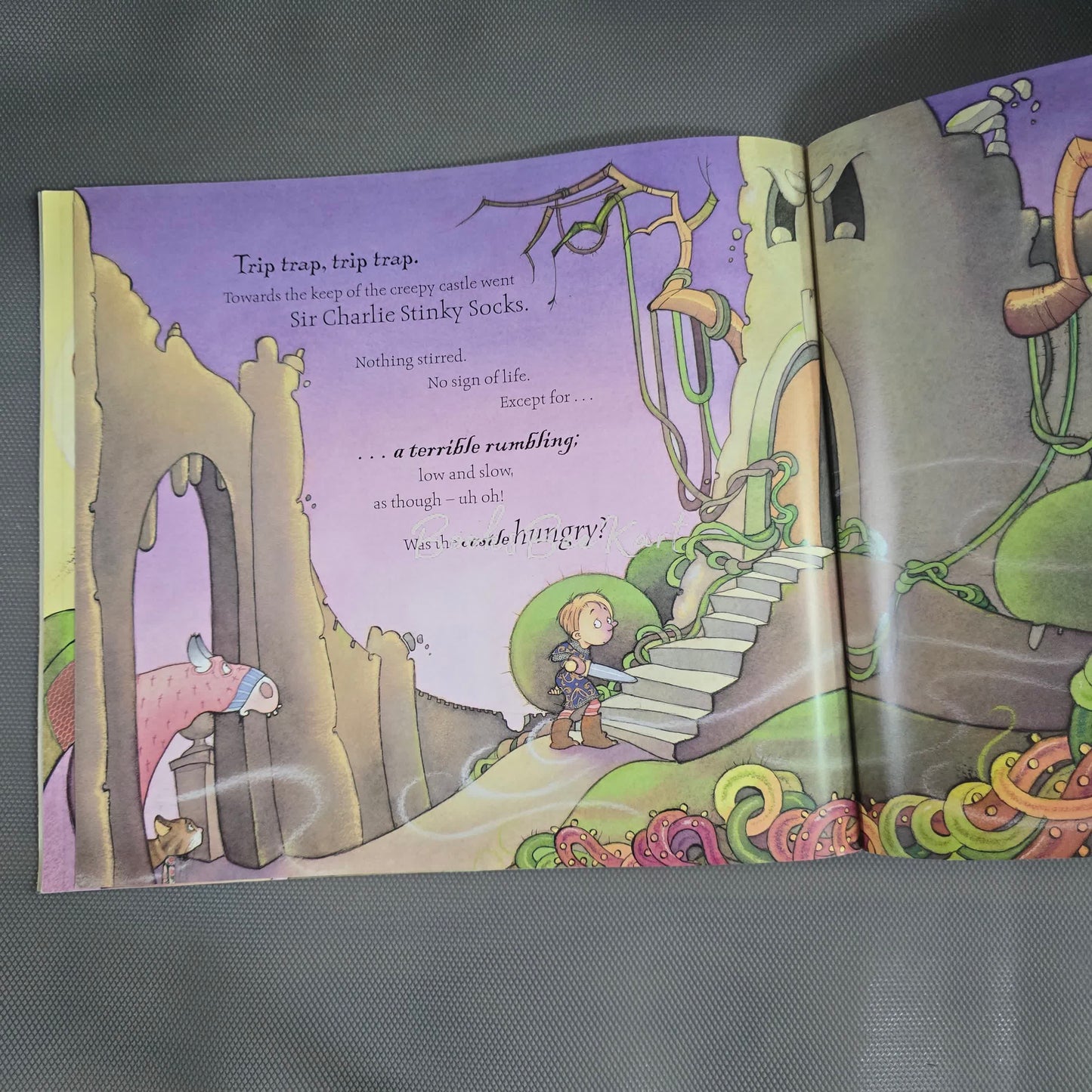 Sir Charlie Stinky Socks and the tale of the Terrible Secret
