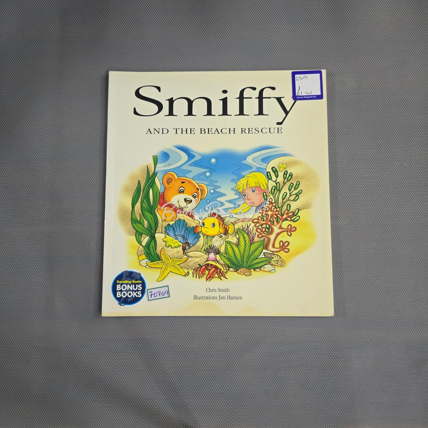 Smiffy and the Beach Rescue