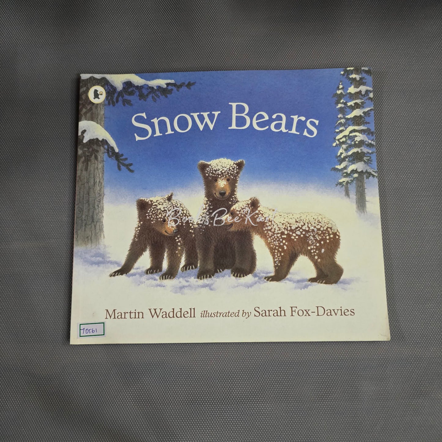 Snow Bears