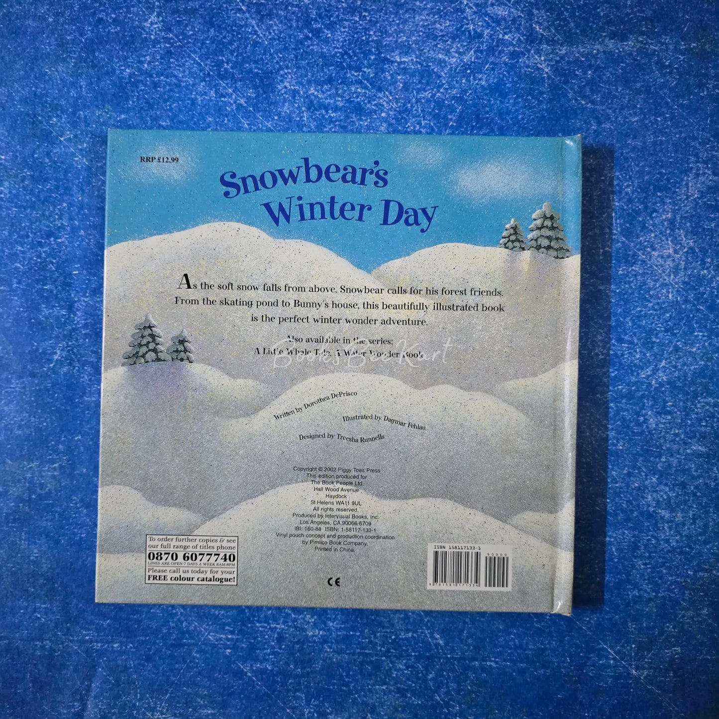 Snowbear's Winter Day