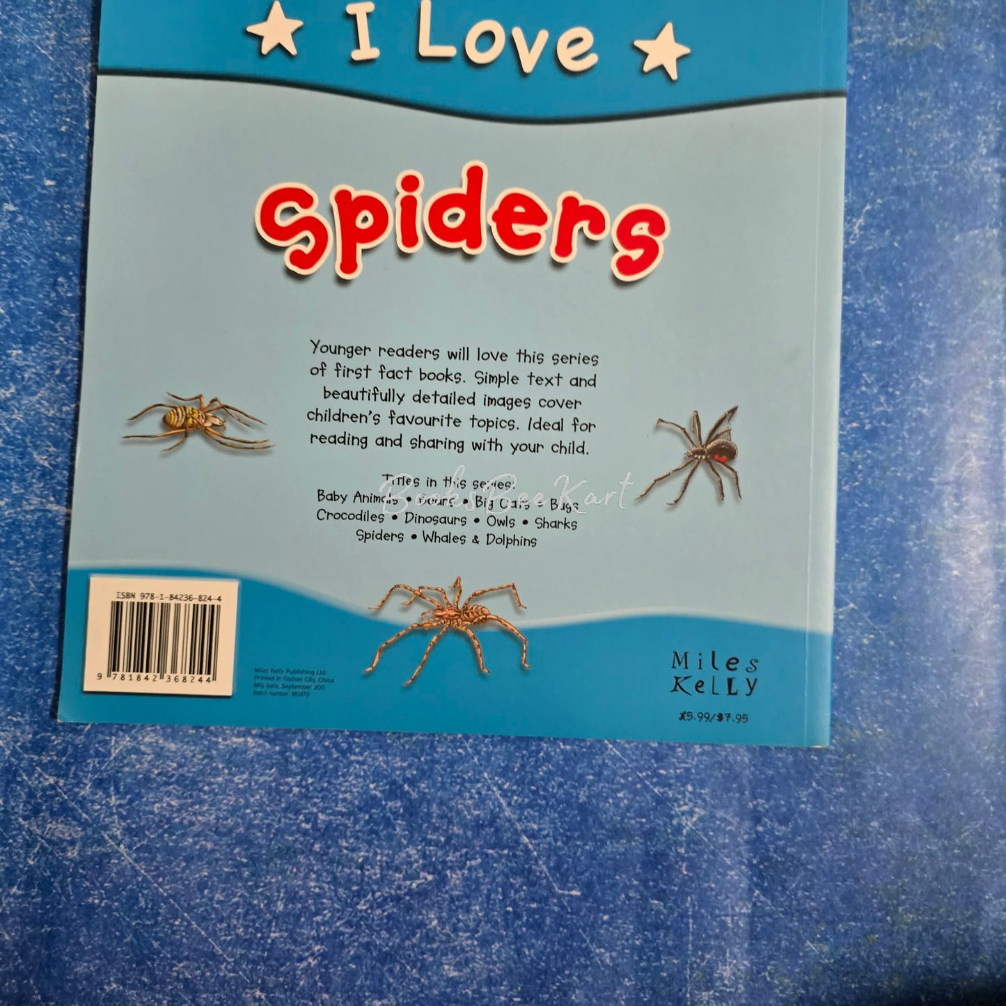 I love Spiders