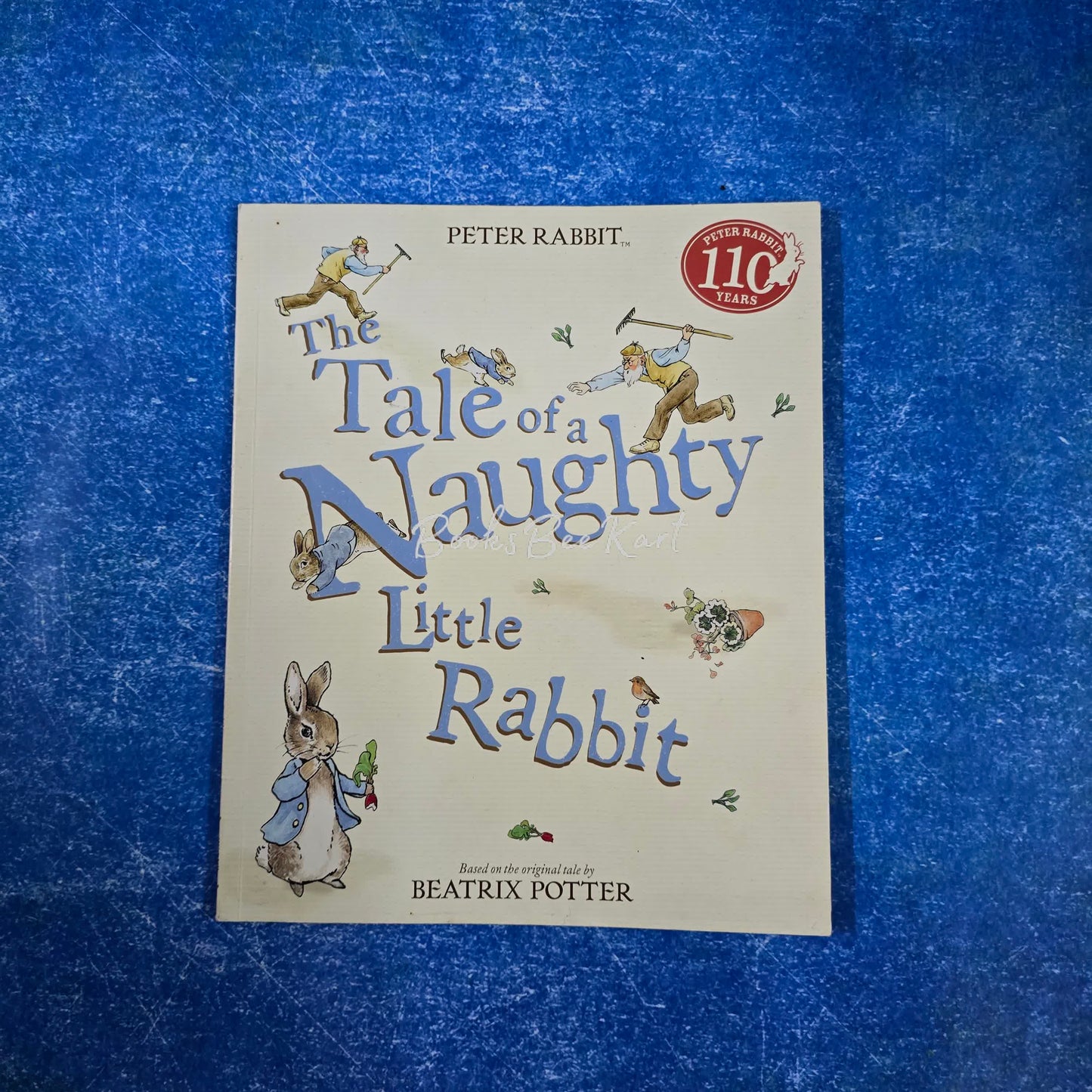 The Tale of a Naughty Little Rabbit