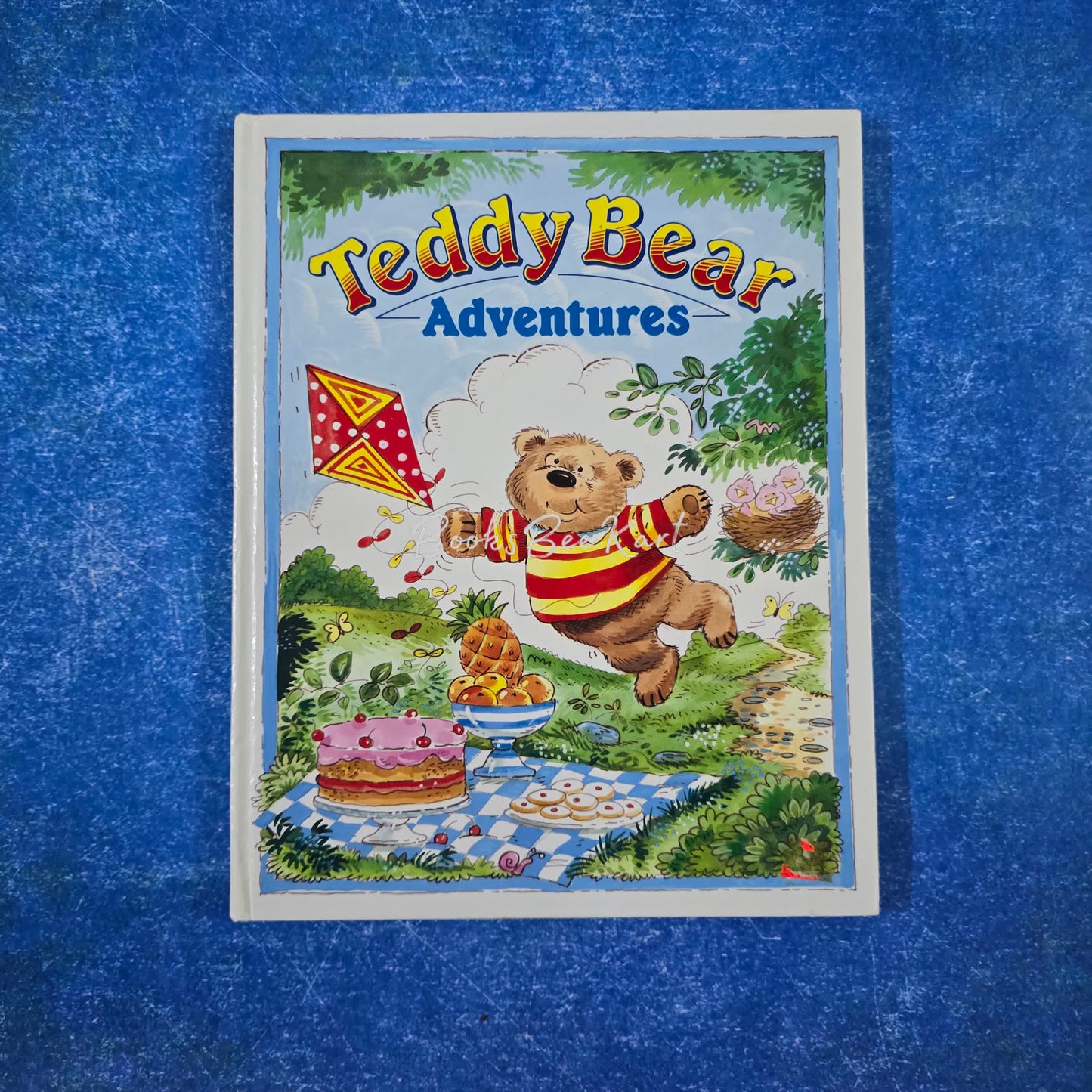 Teddy Bear Adventure