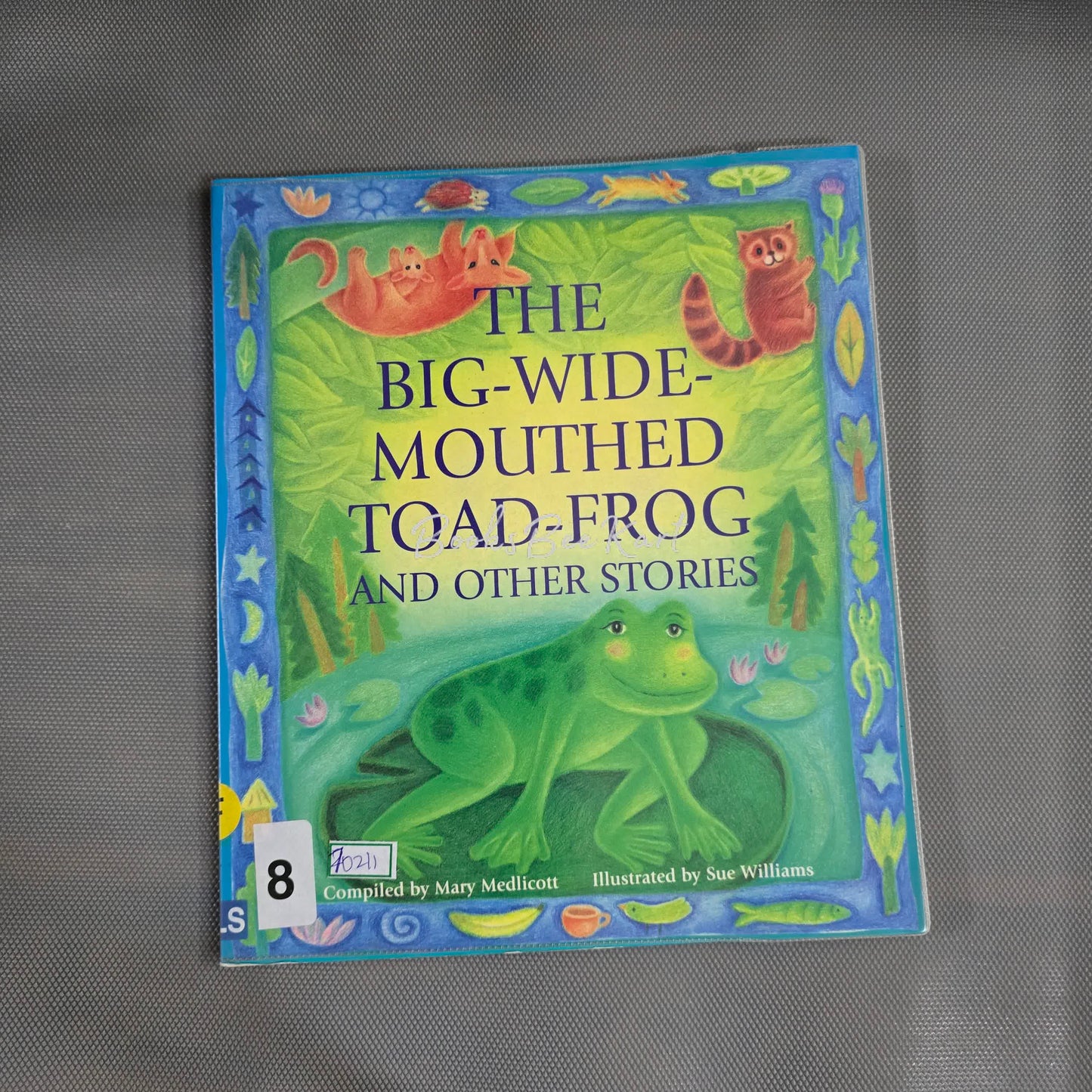 The Big-wide-mouthed Toad-Frog