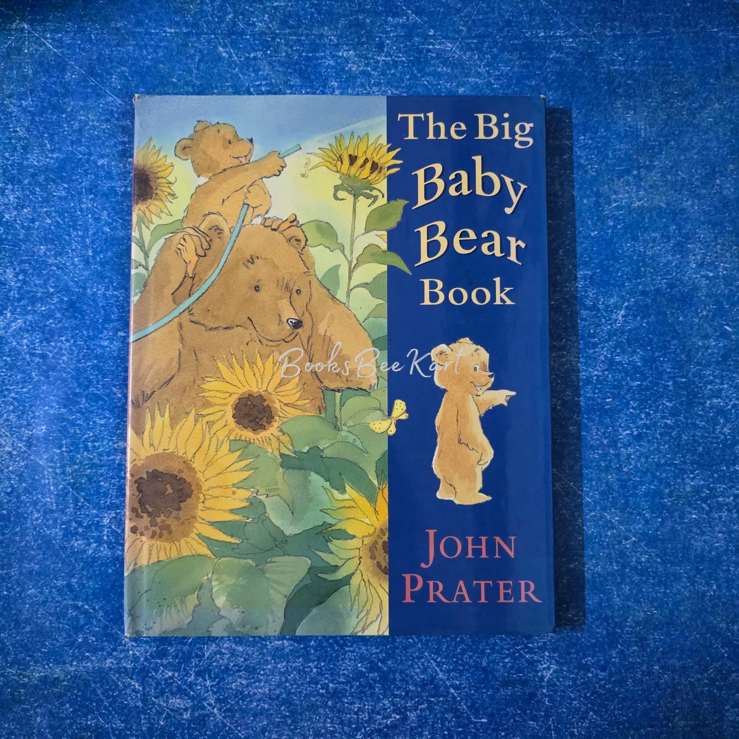 The Big Baby Bear Book