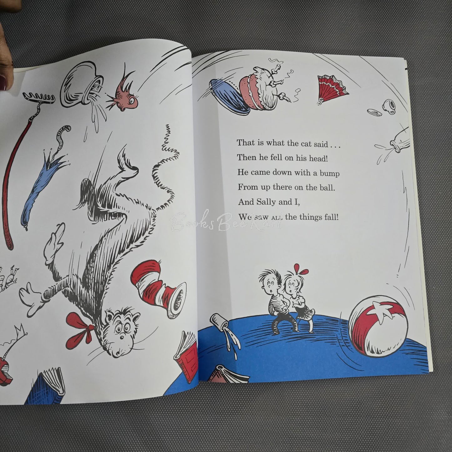 The cat in the Hat