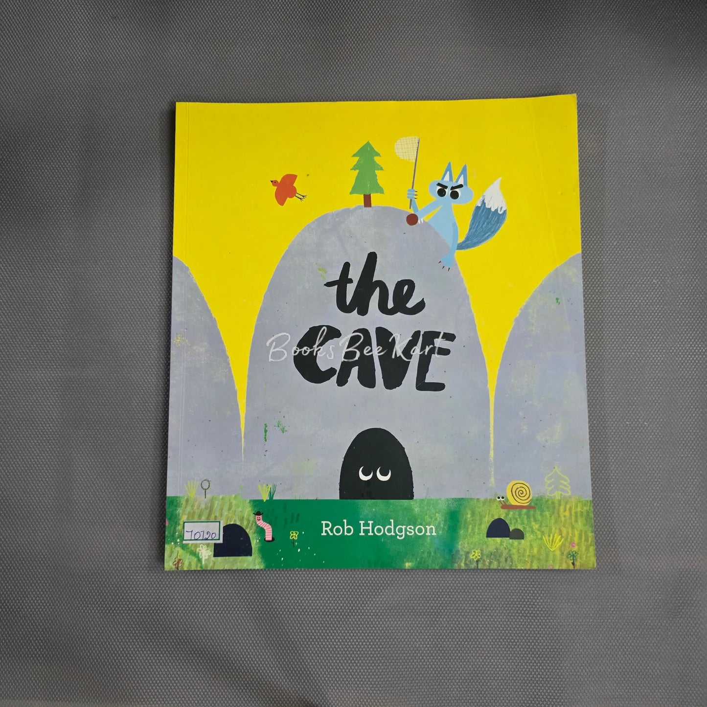 The Cave