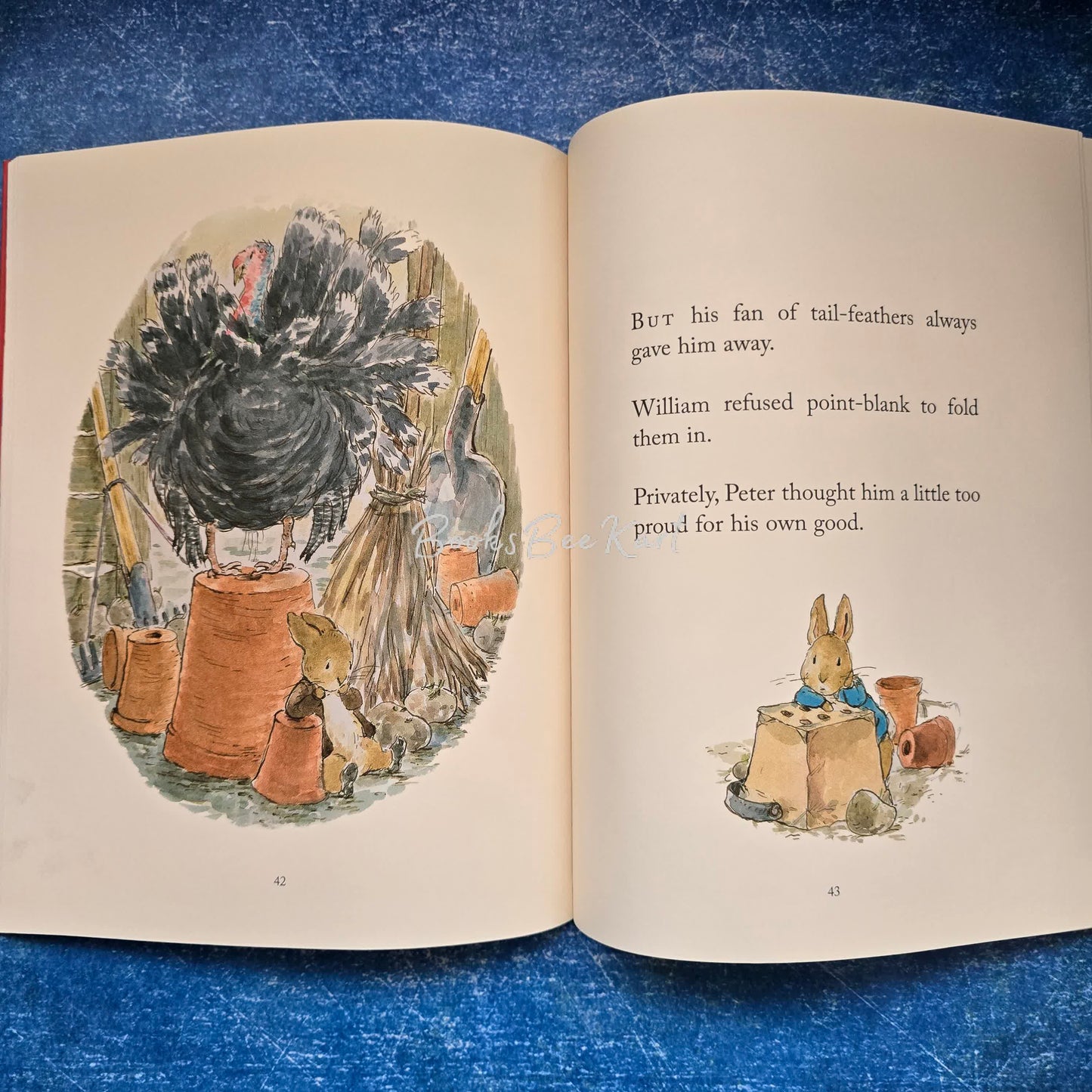 The Christmas Tale Of PETER RABBIT