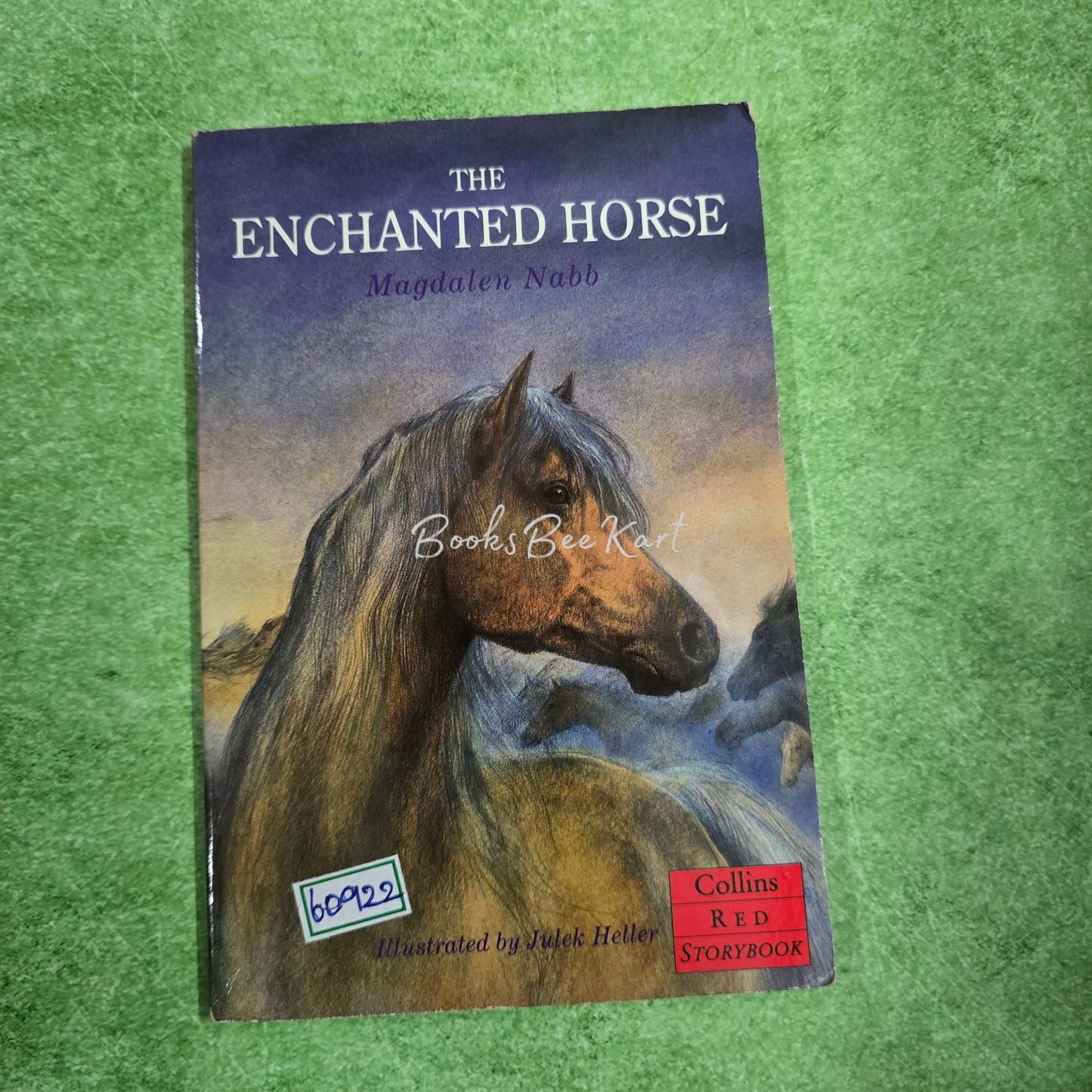 THE ENCHANTED HORSE