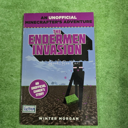 THE ENDERMEN INNASION