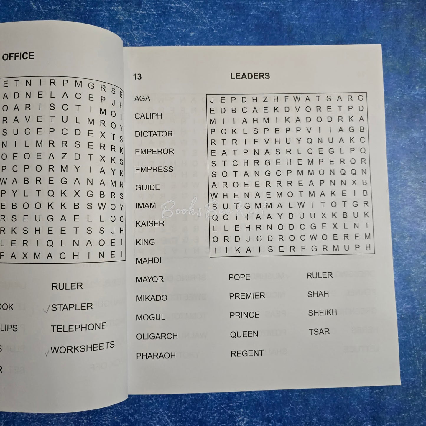 The Festive book of word search