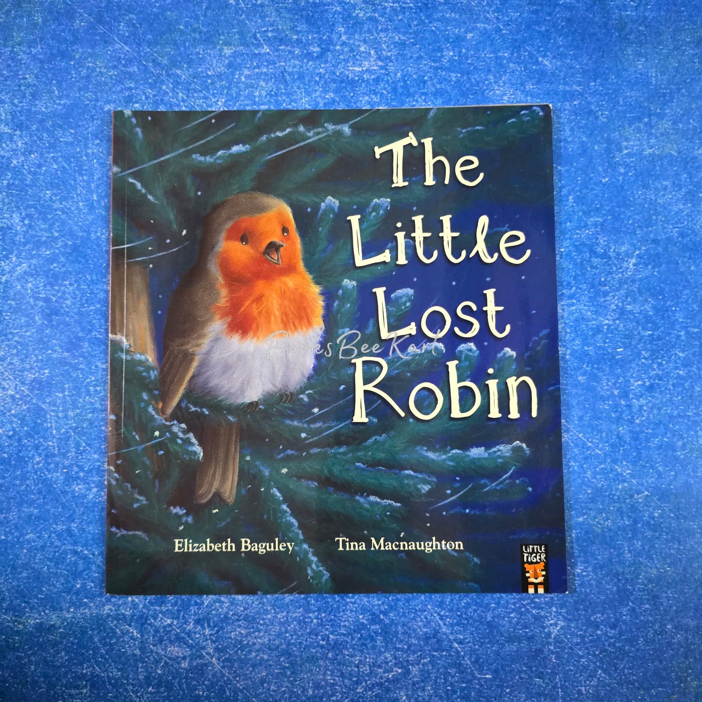 The Little Lost Robin