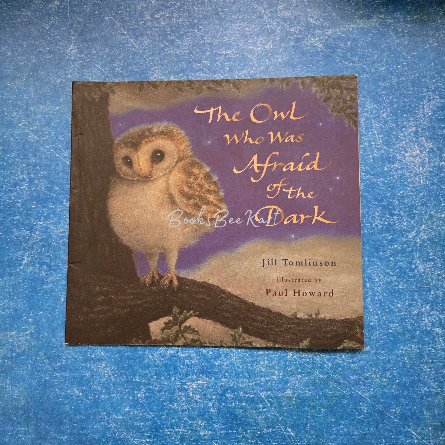 The Owl who was Afraid of the Dark