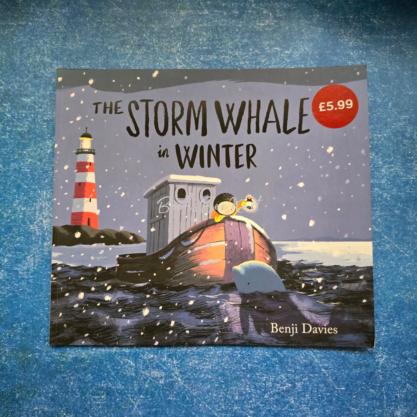 THE STORM WHALE in WINTER