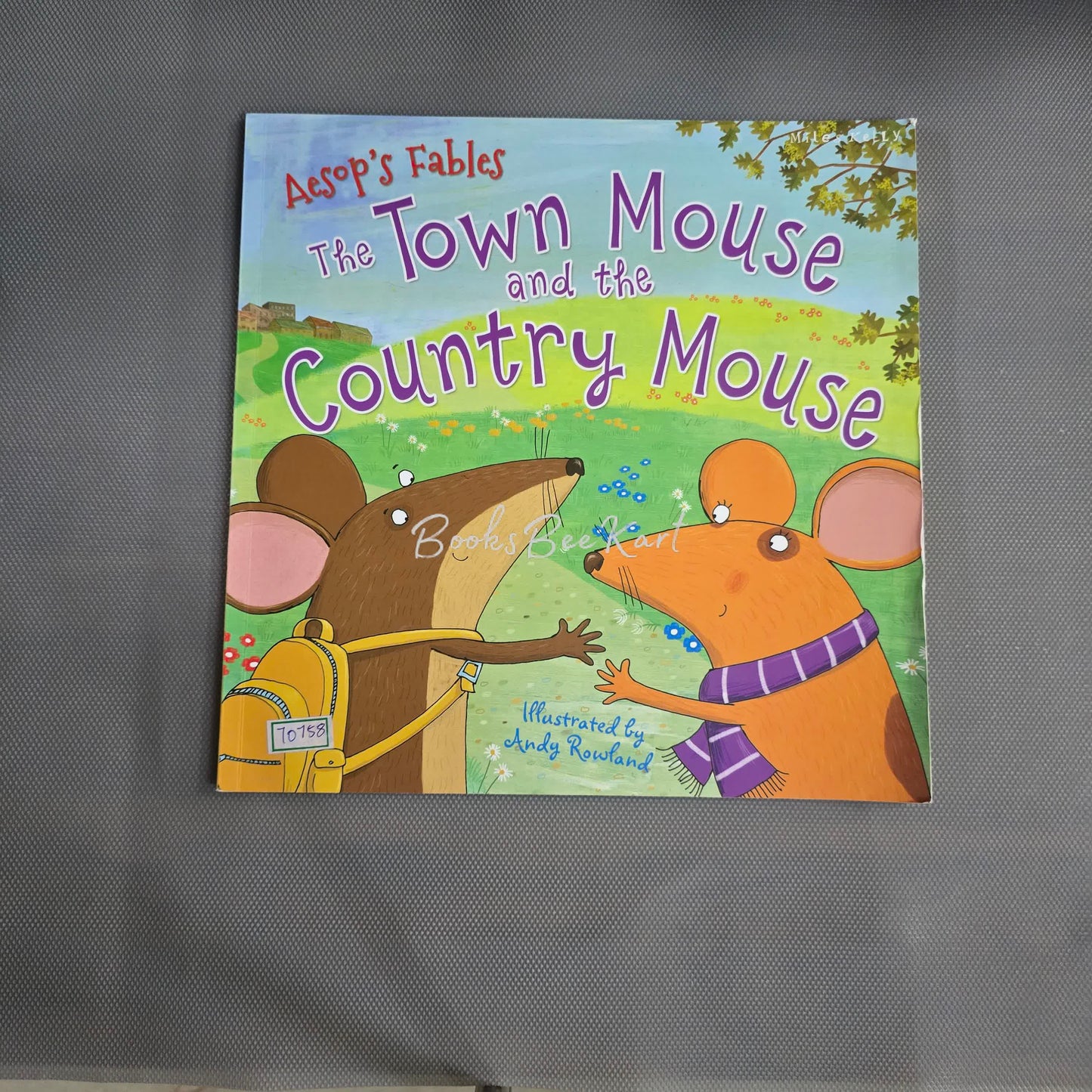 The Town Mouse and the country mouse