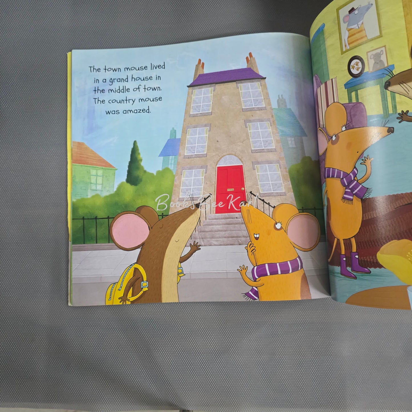 The Town Mouse and the country mouse