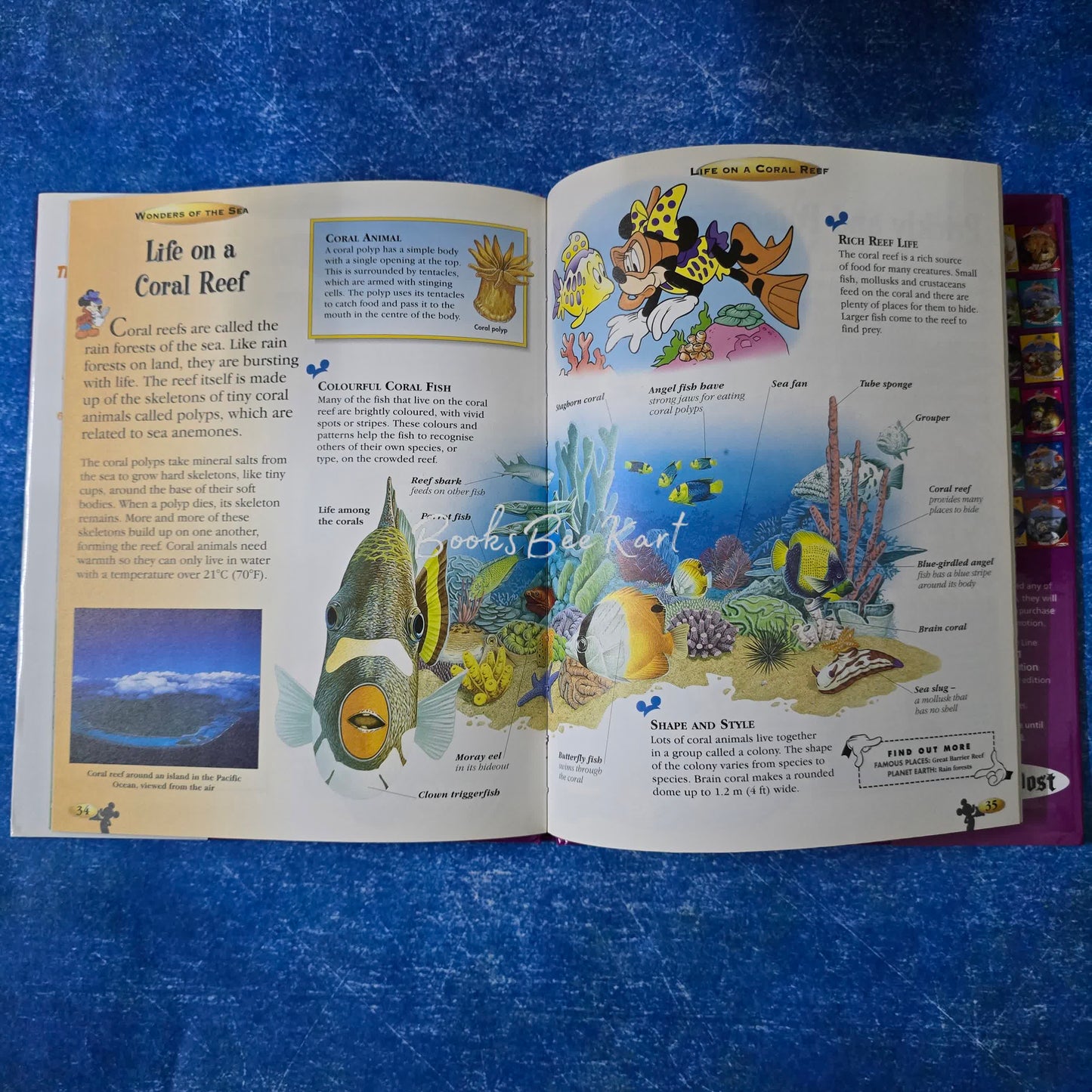 THE WONDERFUL WORLD OF KNOWLEDGE WONDERS OF THE SEA