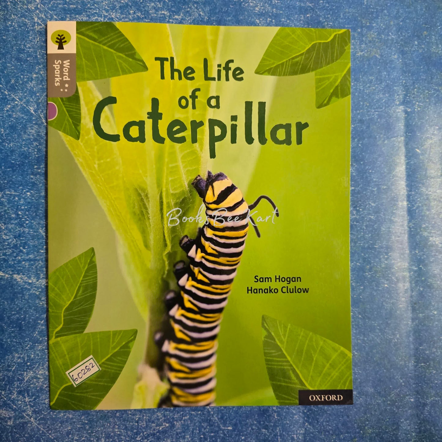 The life of a Caterpillar