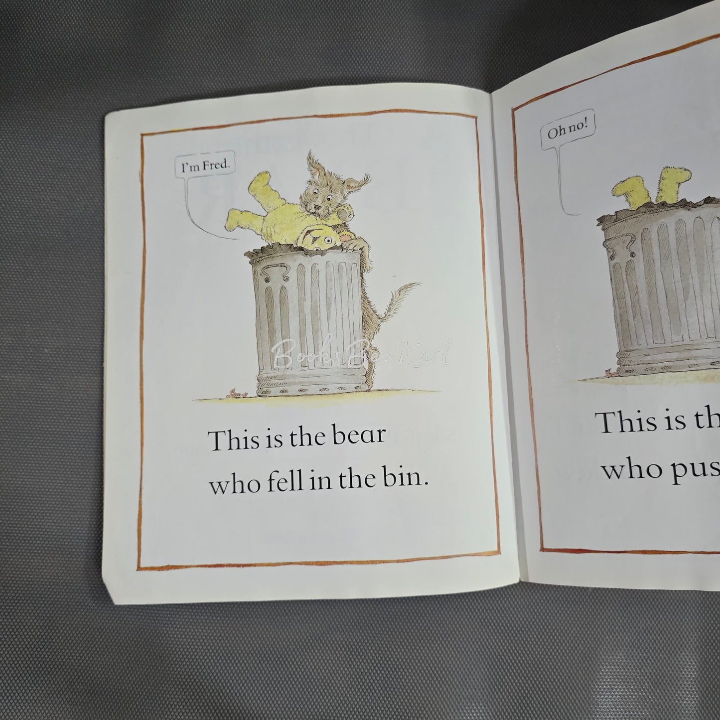 This is the bear