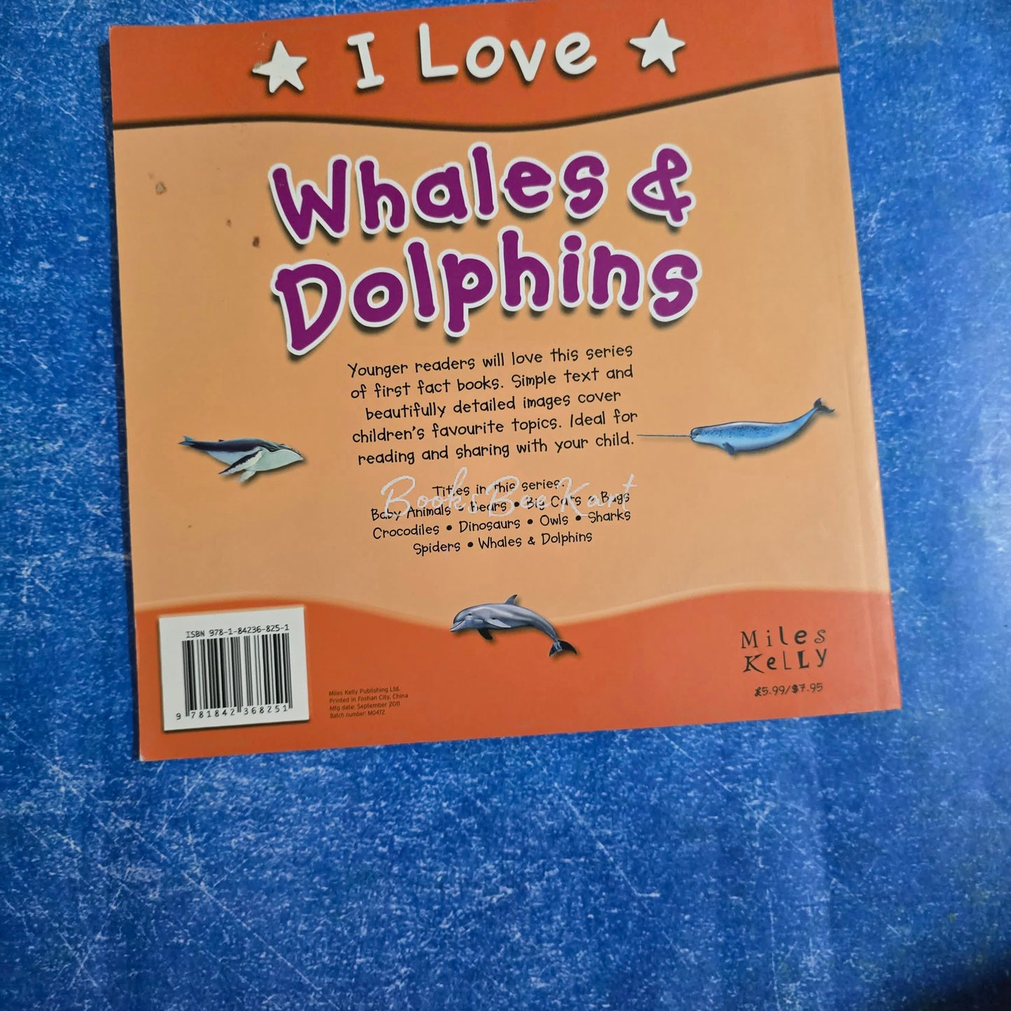 I love whales and Dolphins