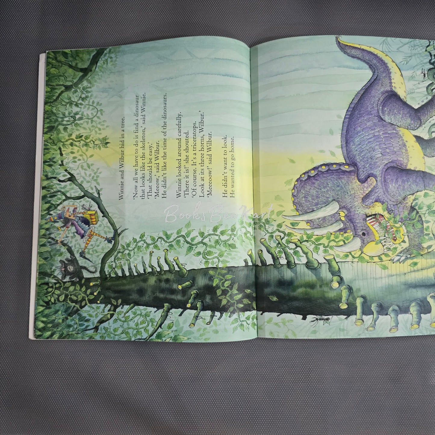Winnie's Dinosaur Day