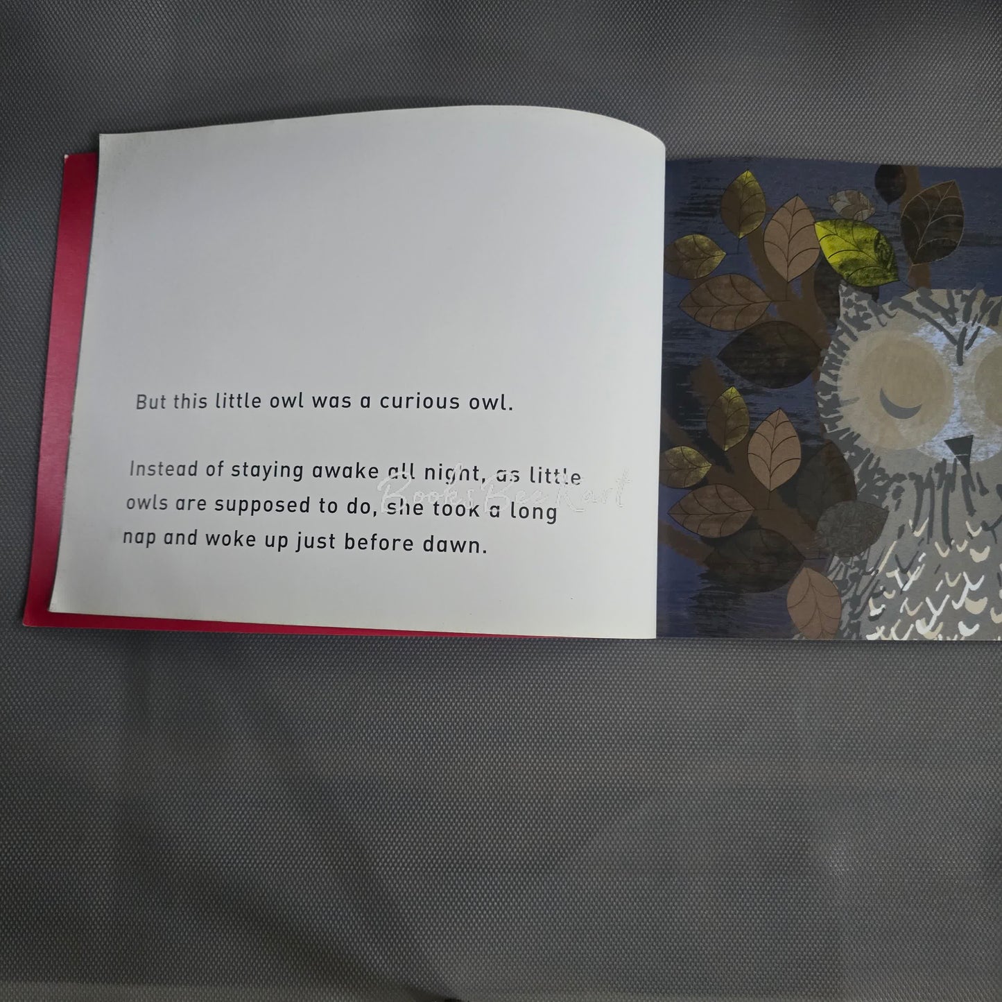 WOW! Said the Owl